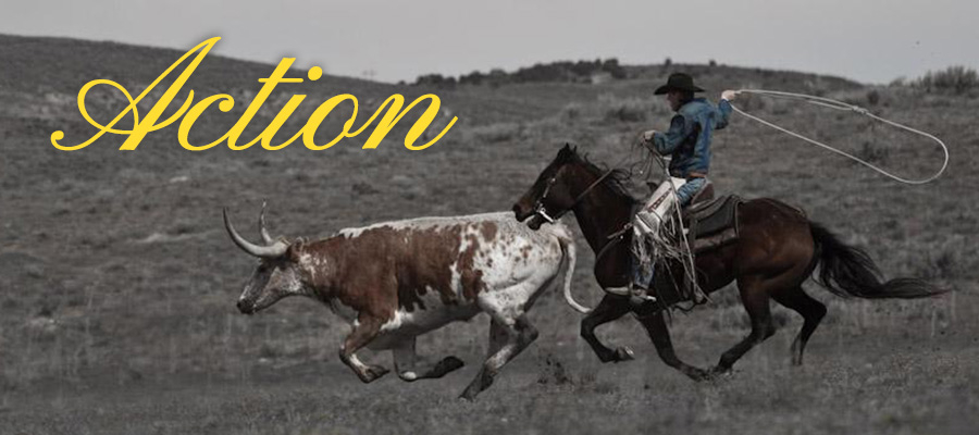 action